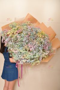 Super dreamy rainbow gypsophila