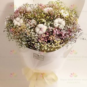 Dreamy colorful gypsophila