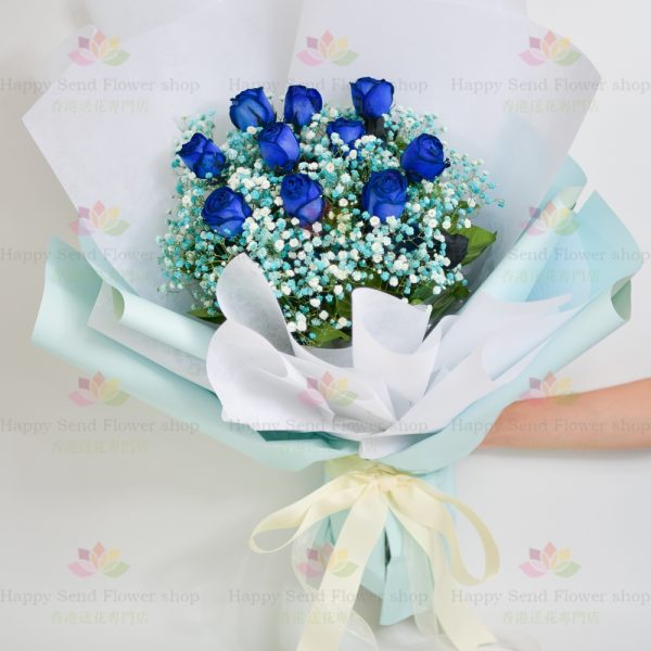 [Extremely Rare] Dutch Air Transport Blue 10 Roses