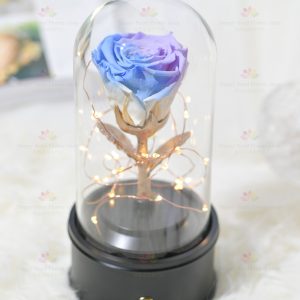 My only one (Purple Blue. Cherish) Preserved Flower Bluetooth Speaker (Purple Blue) (Random base color delivery: pink, white, black) (Must be purchased together with a bouquet of flowers to enjoy this special offer) The offer is limited to one person only another.