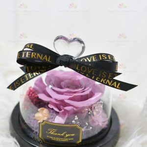 Wholeheartedly immortal flower rose decoration (purple without light)