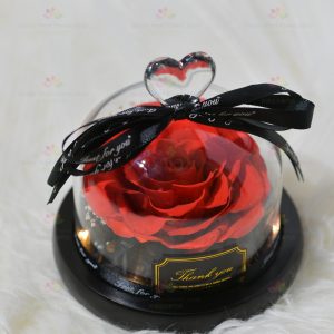 Wholeheartedly immortal flower rose decoration (red with light)