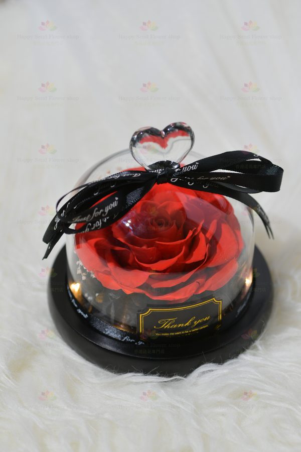 One Heart and One Heart Preserved Flower Rose Decoration (Red with Light) (2021 Valentine's Day Bouquet Series)