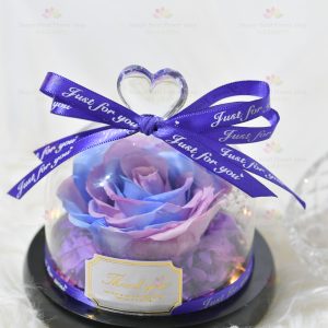 Wholeheartedly immortal flower rose decoration (purple blue with light)